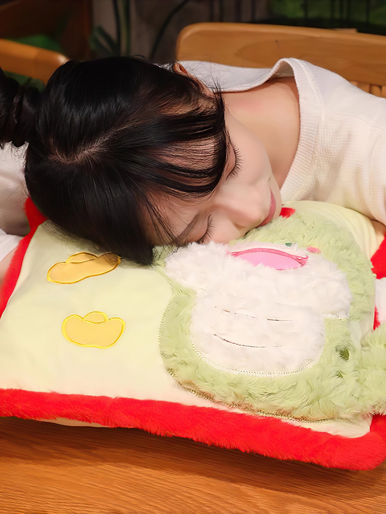 Cozy 2-in-1 Pillow and Hand Warmer Blanket - 4 Style